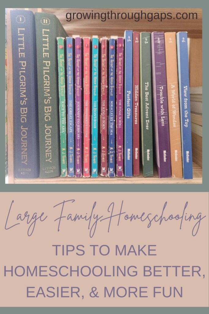 large family homeschool book collection living books, christian books
