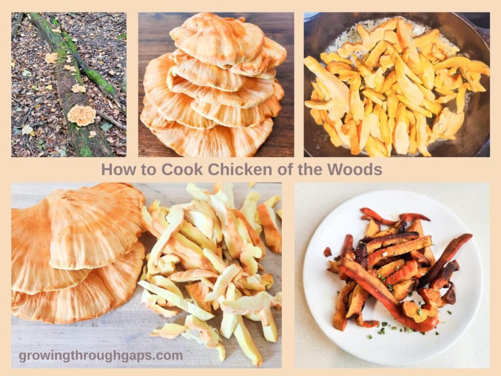 how to cook chicken of the woods mushrooms sauteed
